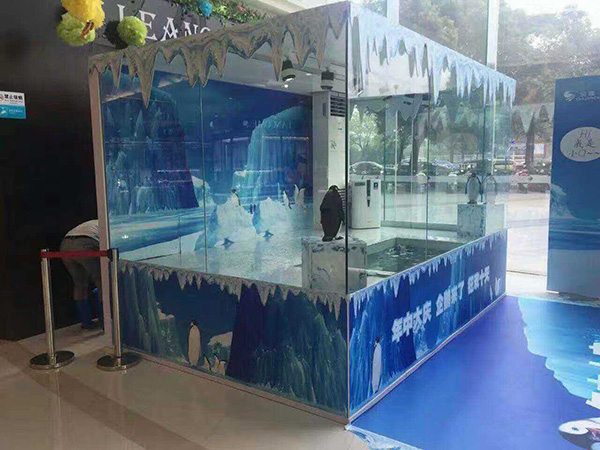 企鹅展